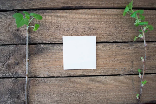 Um pedaço de papel sobre um fundo de madeira — Fotografia de Stock