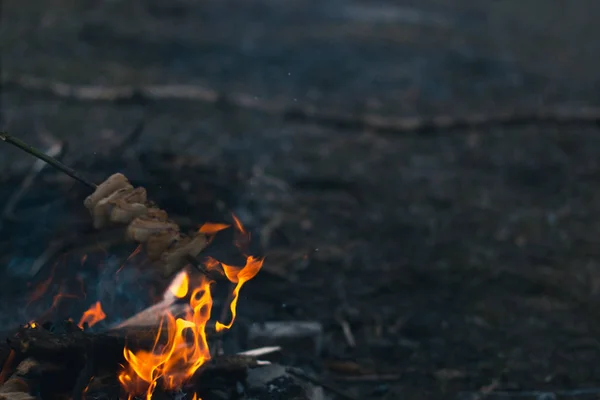 Lagerfeuer im Frühling auf der Natur. — Stockfoto