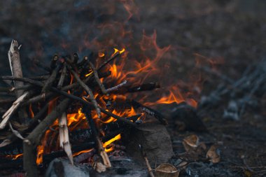 Şenlik ateşi doğa turizm.