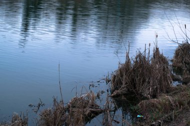 Nehir kenarındaki ilkbahar manzarası.