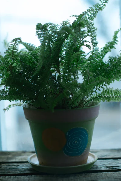 Olla verde sobre fondo de madera . —  Fotos de Stock