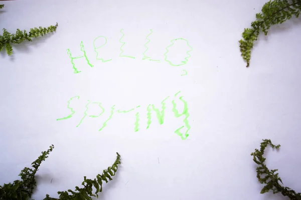 Foglie verdi di un impianto con l'iscrizione di primavera su uno sfondo bianco . — Foto Stock