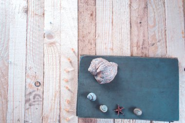 Deniz kabukları ahşap arka plan üzerinde bir not defteri yakın:.