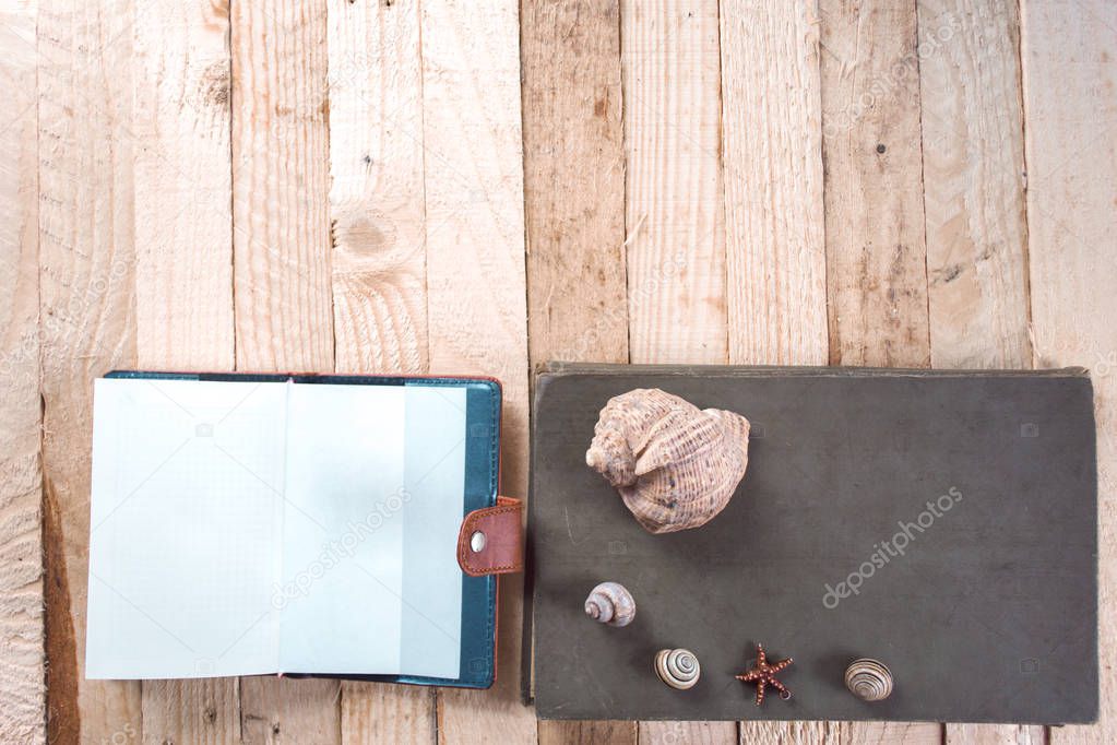 Sea shells on a wooden background near a notebook.