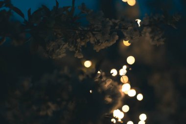 Çiçek çelenk ışıkların ağacında.