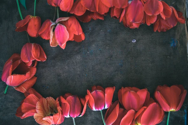 Tulips in the background of sacking. — Stock Photo, Image