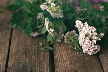 Çiçekli alanlara ahşap arka plan üzerinde Şubesi.