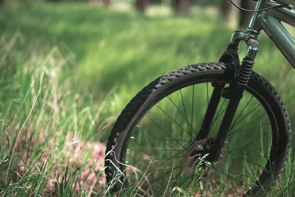 Спортивний велосипед на лісовій алеї . — стокове фото