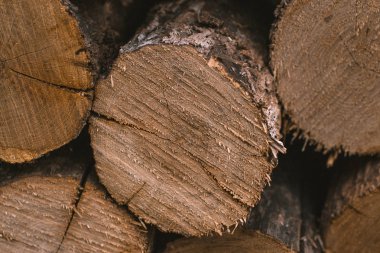 Ağaç makrosunun çapraz bölümü.