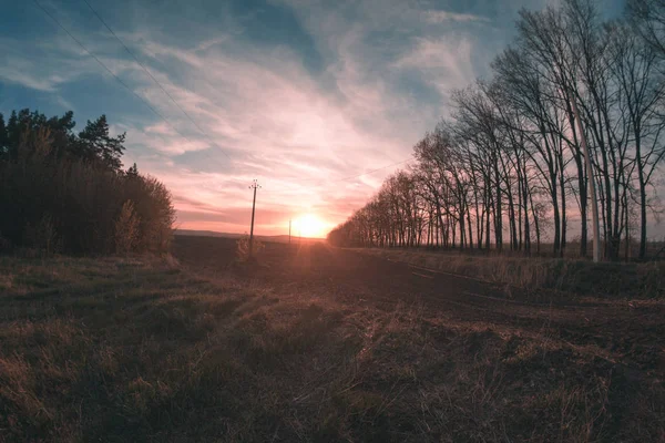 Jarní večerní krajina při západu slunce. — Stock fotografie