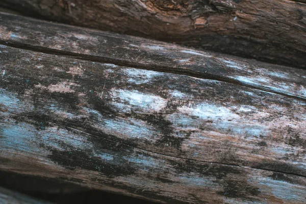 ツリーの背景色の樹皮. — ストック写真