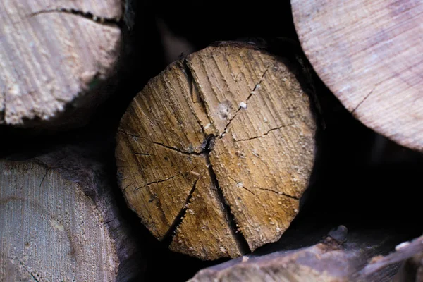 Cross section of the tree macro.