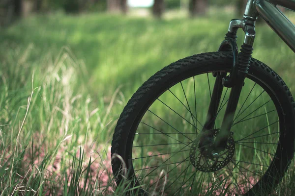 Bicicleta deportiva en el césped en el parque . —  Fotos de Stock