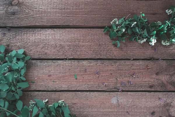 Hojas de Spiraea sobre un fondo de madera . —  Fotos de Stock