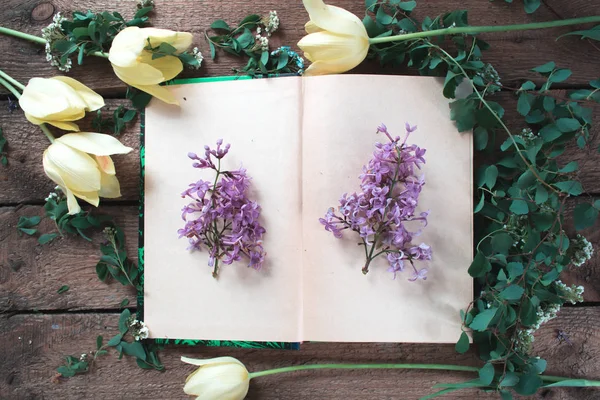 Çiçek ve mocap yaprakları ile açık bir kitap — Stok fotoğraf