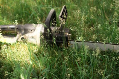 Güç yeşil çimenlerin üzerinde gördüm.