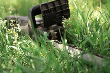 Güç yeşil çimenlerin üzerinde gördüm.