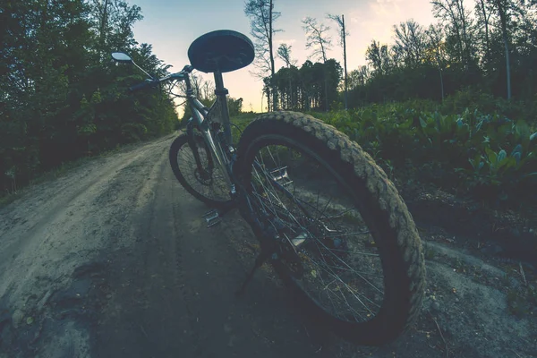 Ein Sportfahrrad auf einem Feldweg im sommerlichen Abendwald. — Stockfoto