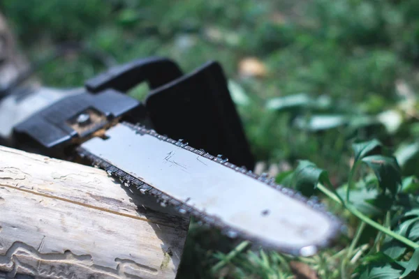 Elektrikli testere ile arka plan bulanık çimenlerin üzerinde.