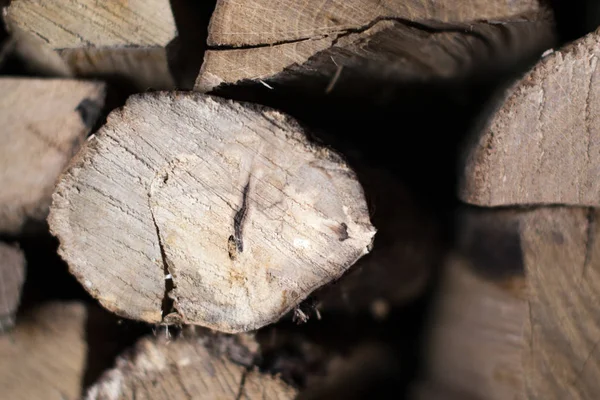 Bir yığın odun doğal arka plan.