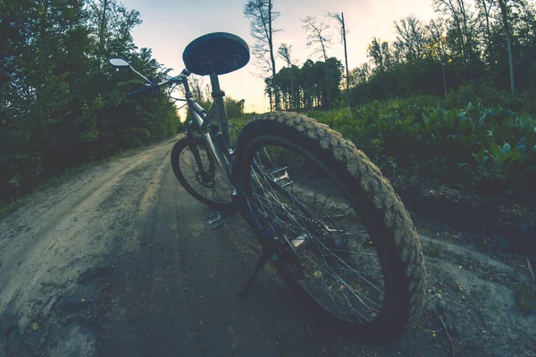 在夏天晚上森林体育自行车. — 图库照片