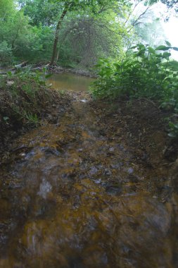Maden suyu orman dağ ile bahar.