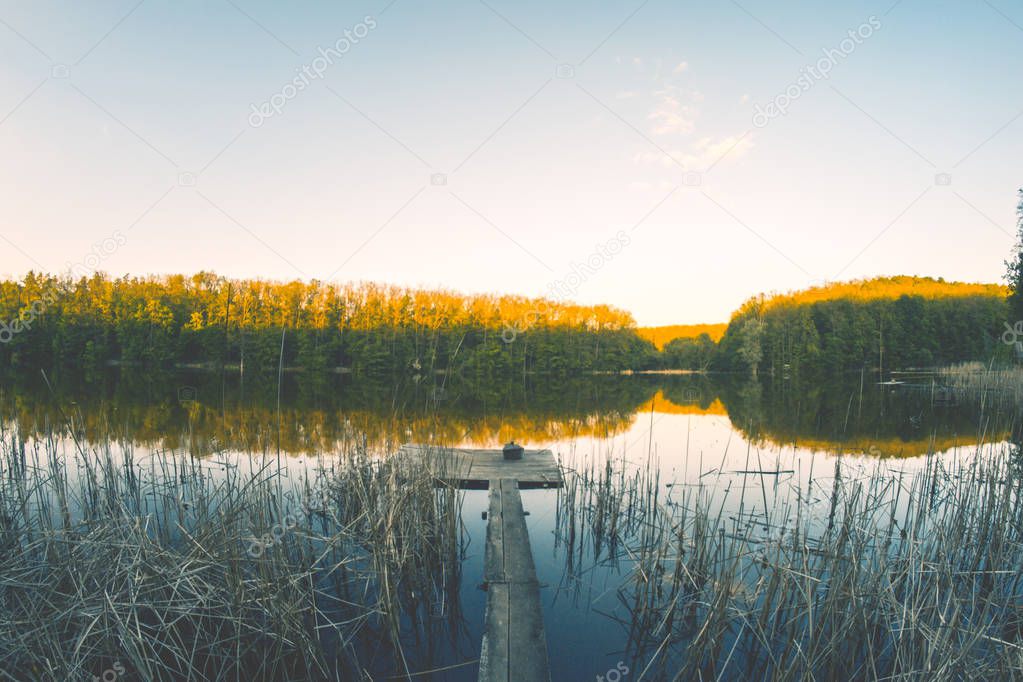 Pond in the evening landscape in the sunset of a summer day.