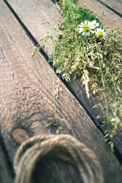 Planten en bloemen op een houten achtergrond met een touw. — Stockfoto