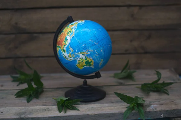 Globe on a wooden background. — Stock Photo, Image