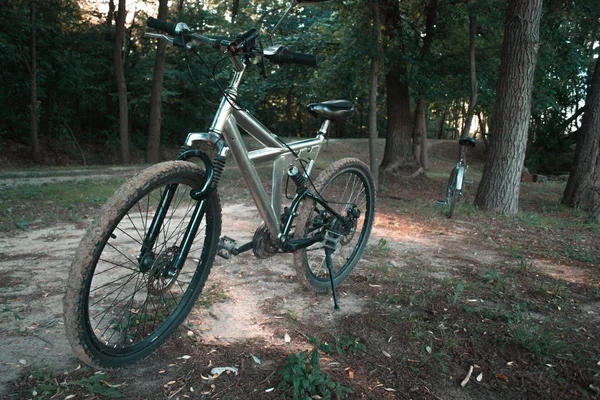 在林间小径走山地自行车. — 图库照片