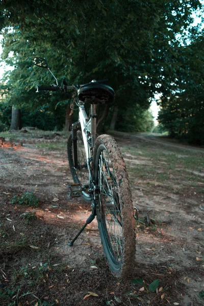 Гірський велосипед на лісовій дорозі ввечері . — стокове фото
