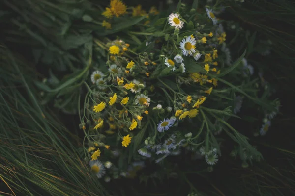 Boeket van mooie wilde bloemen op het gras. — Stockfoto
