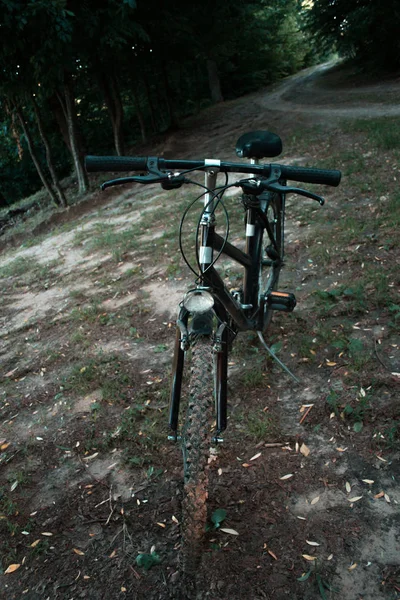 Mountain bike em uma estrada da floresta à noite . — Fotografia de Stock