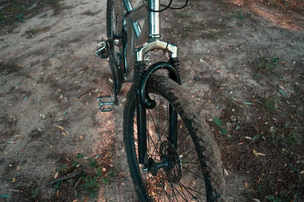 Bicicleta de montaña en un camino forestal por la noche . —  Fotos de Stock