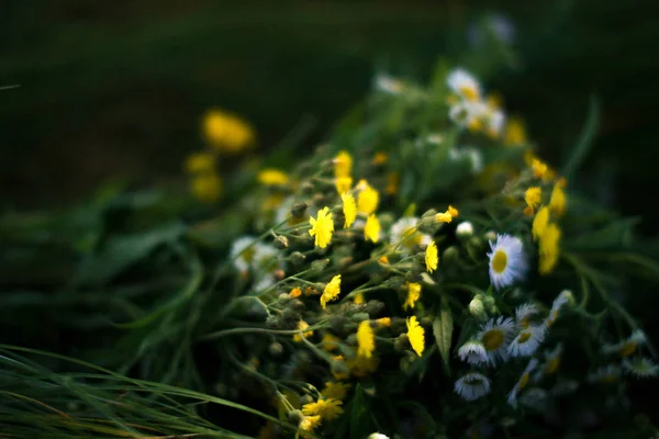 Boeket van mooie wilde bloemen op het gras. — Stockfoto