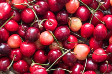 Taze kiraz kırmızı doğal doku makro doku.