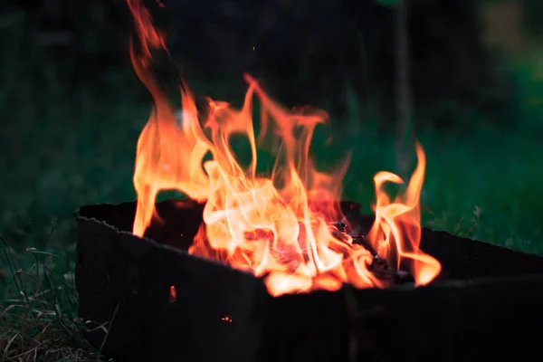 Un feu de joie dans la nature dans une forêt avec un fond flou . — Photo