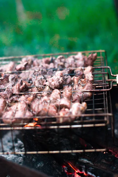 Cuisine barbecue dans la forêt sur un fond flou . — Photo