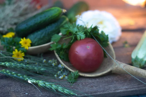 Fresh cucumber from the garden on a wooden background. — Stock Photo, Image