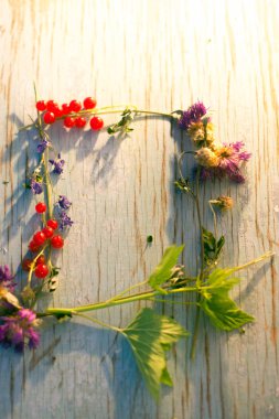 Yaz meyveler ve çiçekler çerçeve metin için.