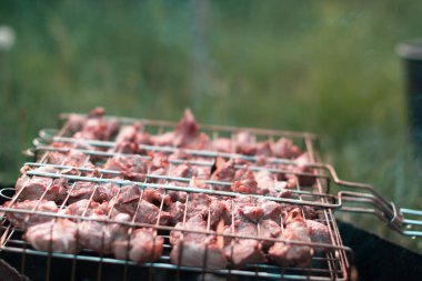 Bulanık bir arka plan üzerinde ormanda pişirme Barbekü.