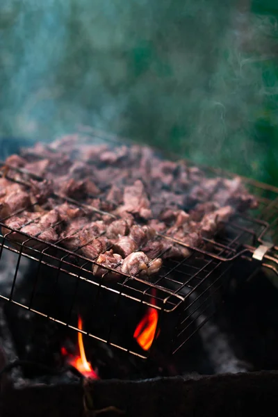 Cuisine barbecue dans la forêt sur un fond flou . — Photo