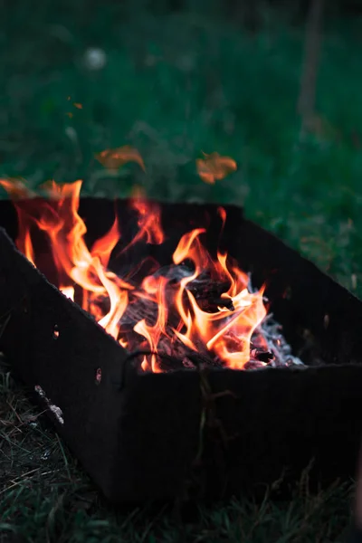 Μια φωτιά μέσα στην φύση σε ένα δάσος με θολή φόντο. — Φωτογραφία Αρχείου