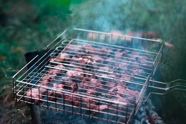 Cuisine barbecue dans la forêt sur un fond flou . — Photo