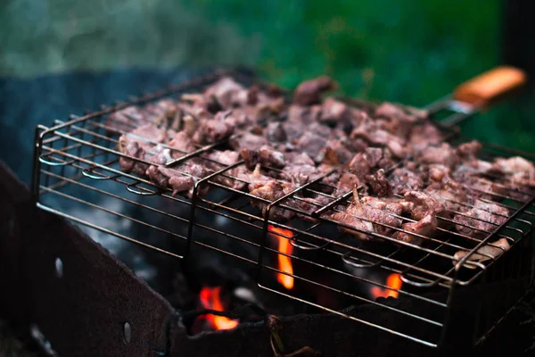 Churrasco cozinhando na floresta em um fundo turvo . — Fotografia de Stock