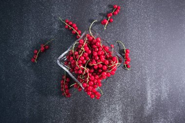 Siyah bir zemin üzerine kırmızı taze kuş üzümü natürmort.