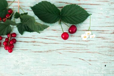 Çilek kırmızı kuş üzümü yaz vitaminler arka plan mavi kırpmak.