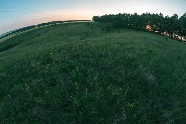 Letní louka při západu slunce den večer krajina. — Stock fotografie