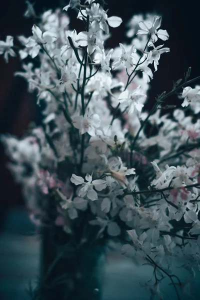Польові літні квіти з розмитим тлом у вазі . — стокове фото