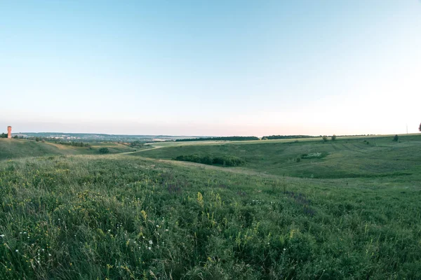 Letnia łąka na zachód dzień wieczorny krajobraz. — Zdjęcie stockowe
